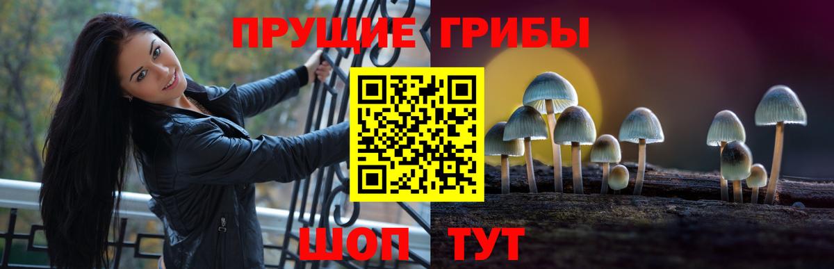 Псилоцибиновые грибы GOLDEN TEACHER  Галлюциногенные грибы мицелий  купить  сайты  Вход с VPN  Каменка 