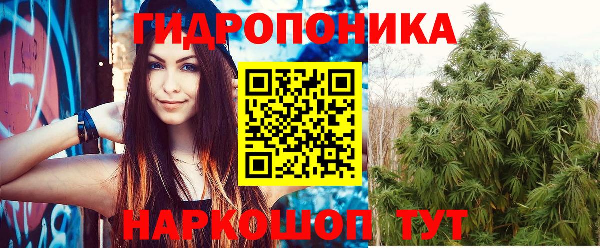 Канабис Amnesia Каменка